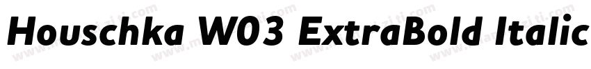 Houschka W03 ExtraBold Italic字体转换